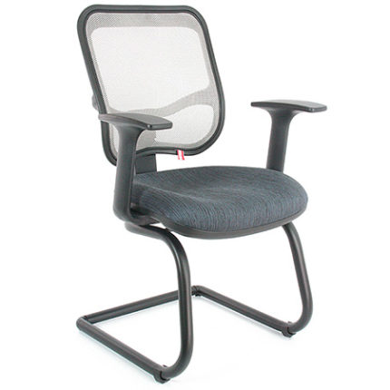 Silla Dolfi Visita