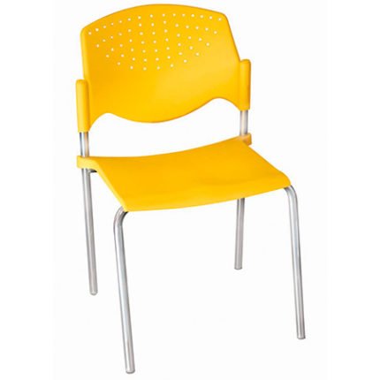 Silla Pola Visita