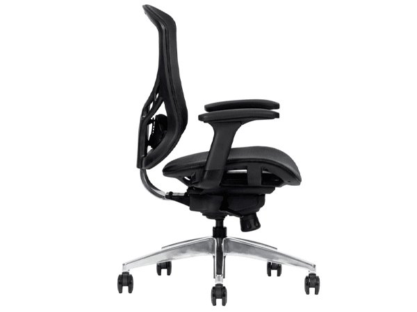 access-negro-lateral access-negro-lateral