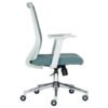 vision-gray-lateral