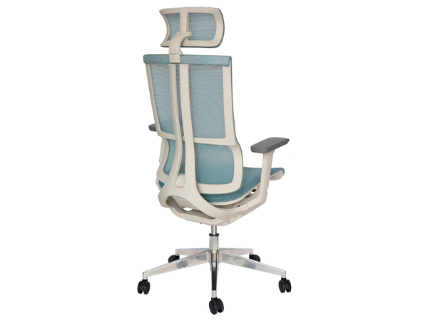 ergoflex-respaldo ergoflex-respaldo