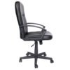 eco-gerencial-silla-lateral