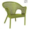 iris-longe-verde