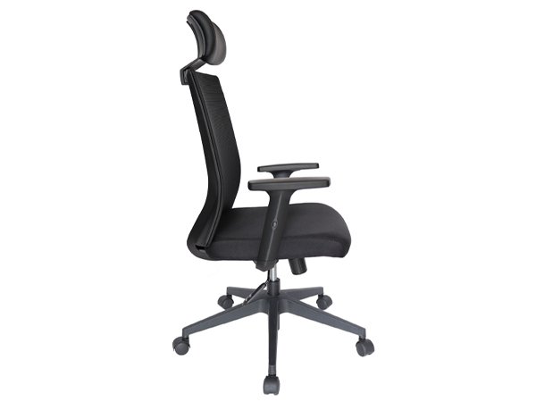 ohe-65-lateral ohe-65-lateral
